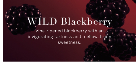 Wild Blackberry. Vine -ripened blackberry with an invigorating tartness and mellow. fruity sweetness