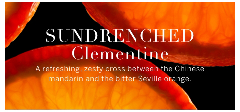 Sundrenched Clementine. A refreshing , zesty cross between the Chinese mandarin and the bitter Seville orange