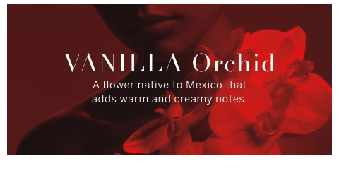 Vanila Orchid. A flower native to Mexico that adds warm and creamy notes