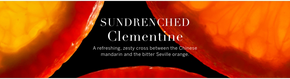 Sundrenched Clementine. A refreshing , zesty cross between the Chinese mandarin and the bitter Seville orange
