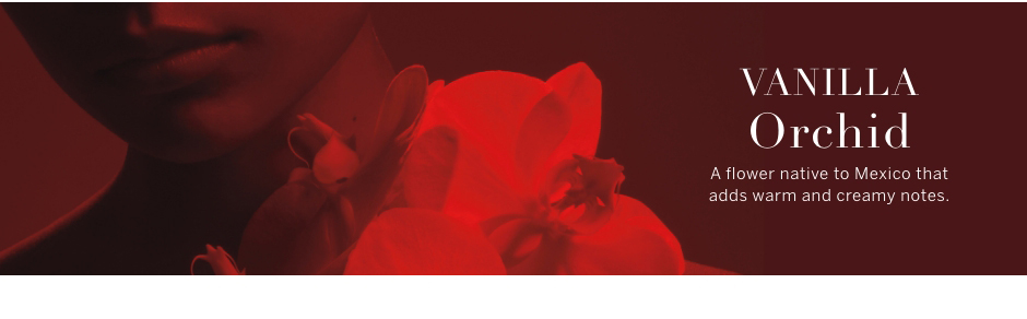 Vanila Orchid. A flower native to Mexico that adds warm and creamy notes