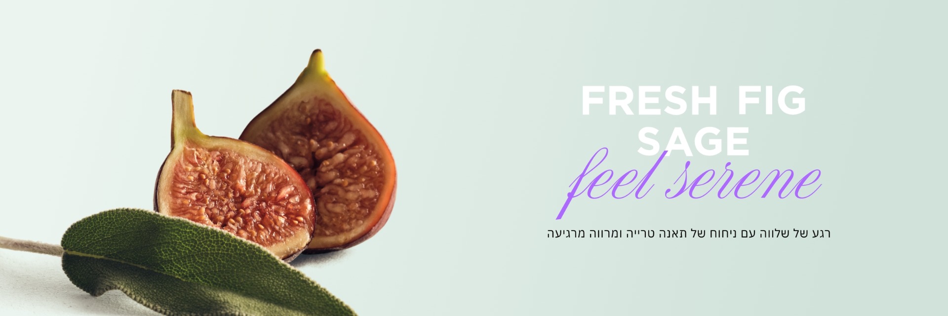 FRESH FIG SAGE FEECK SERENE רגע של שלווה עם ניחוח של תאנה טרייה ומרווה מרגיעה