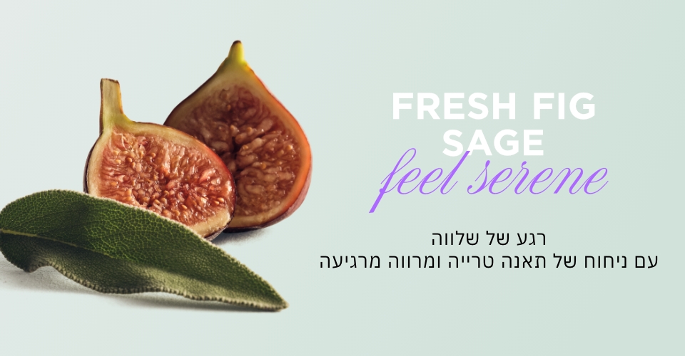 FRESH FIG SAGE FEECK SERENE רגע של שלווה עם ניחוח של תאנה טרייה ומרווה מרגיעה