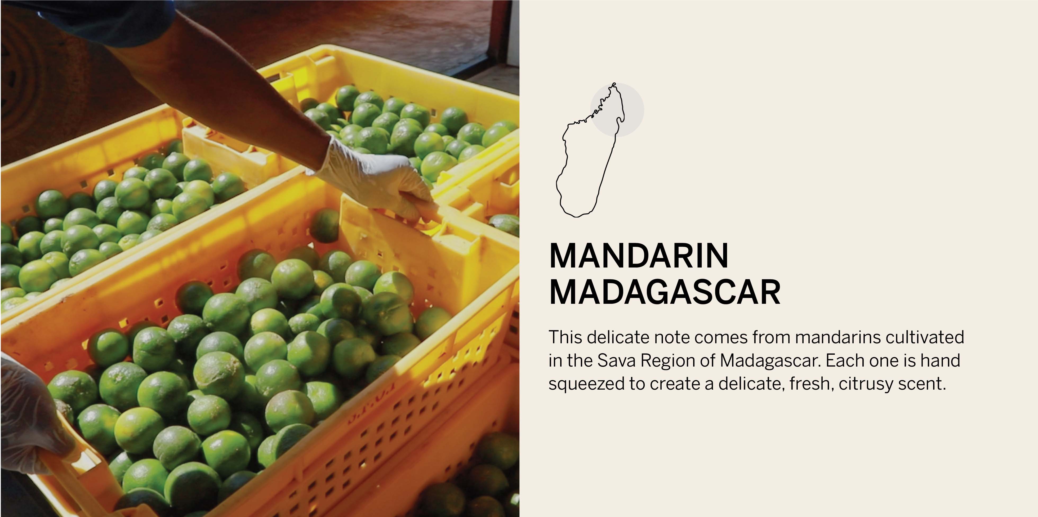 MANADARIN MADAGASCAR / each one is hand squeezed to create a delicate fresh citrusy scent