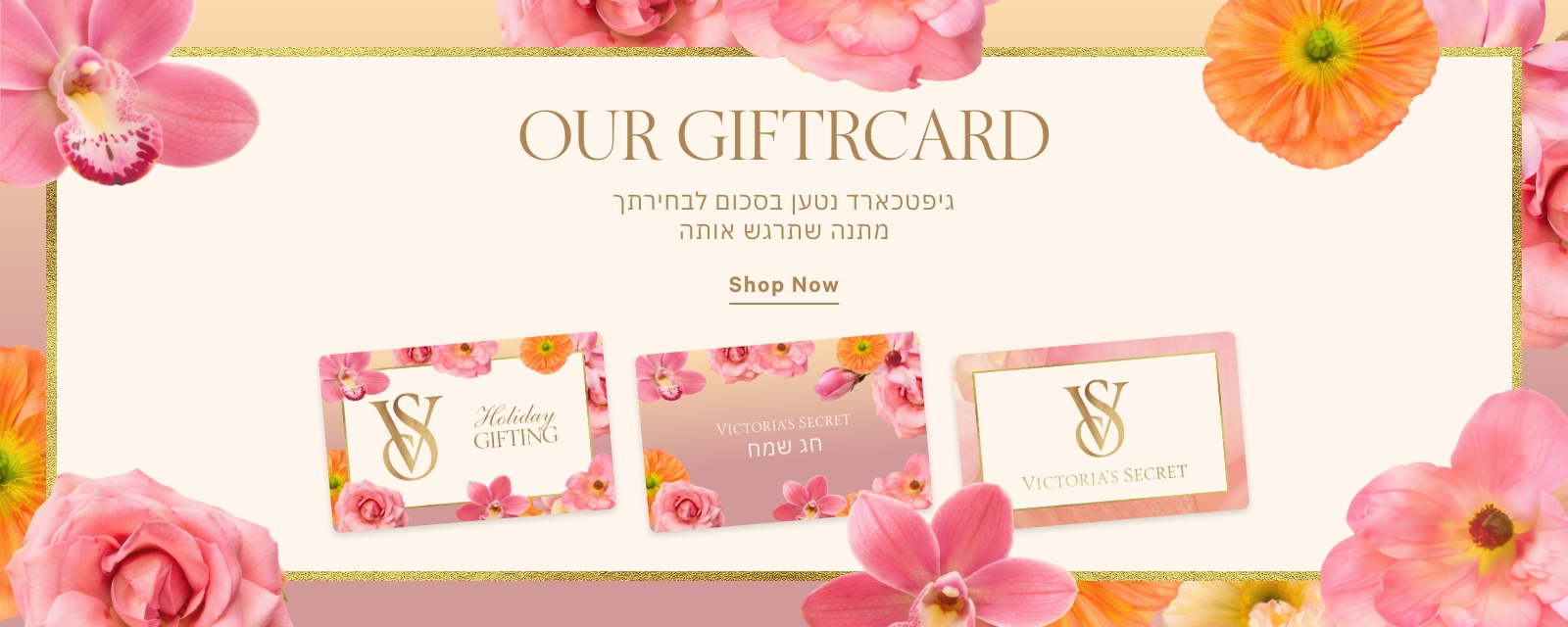 גיפכטארד בסכום נטען לבחירתך