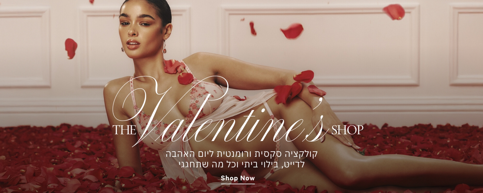VDAY SHOP