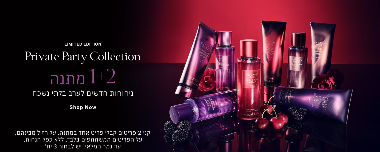 קנו 2 פריטים קבלו אחד במתנה על הזול מבינהם ממגוון מוצרי הטיפוח