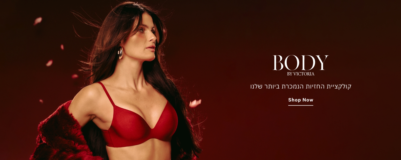 BODY קולקציית החזיות הנמכרת ביותר שלנו